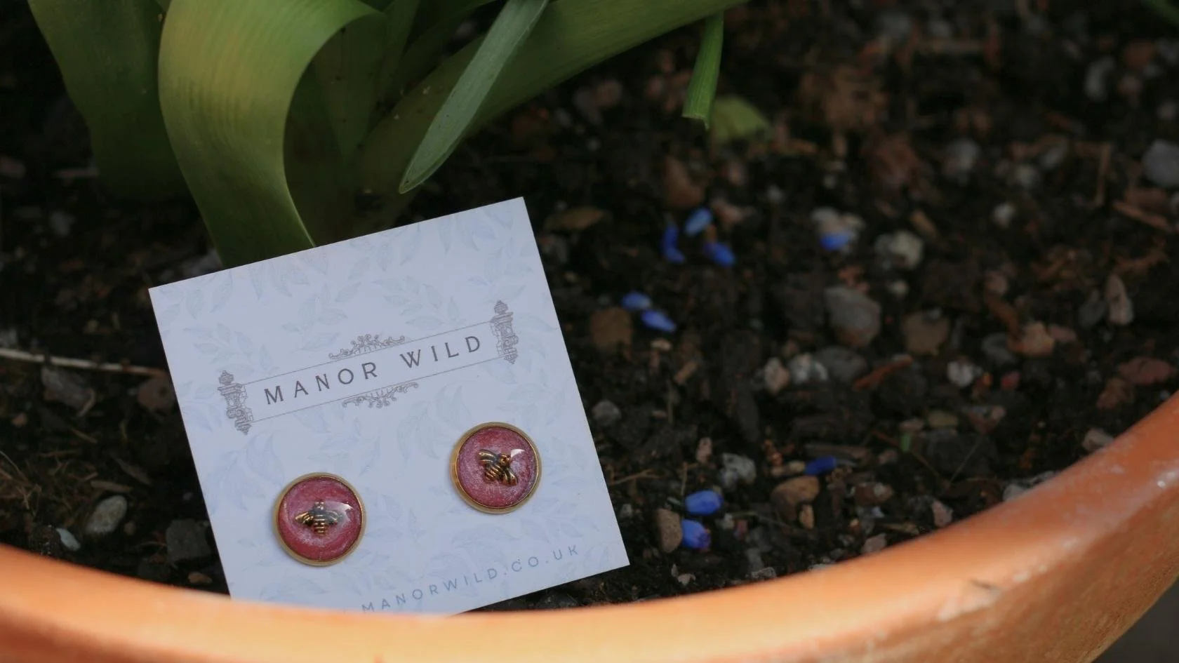 MW Wildflower Meadow (21).jpg