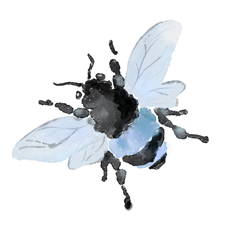 Watercolor illustration of a bee with black and blue body and transparent wings