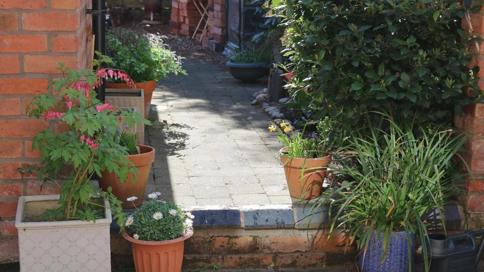 A small brick pathway with potted plants on either side, including pink bleeding heart, daisies, and assorted greenery, leading to a small garden area.