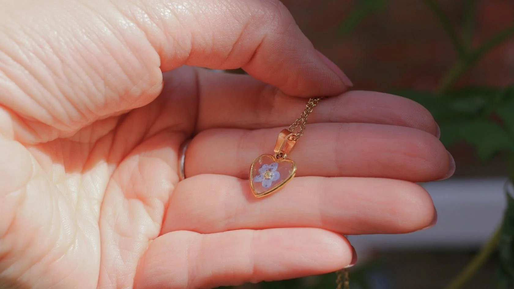 MW Wildflower Meadow (32).jpg