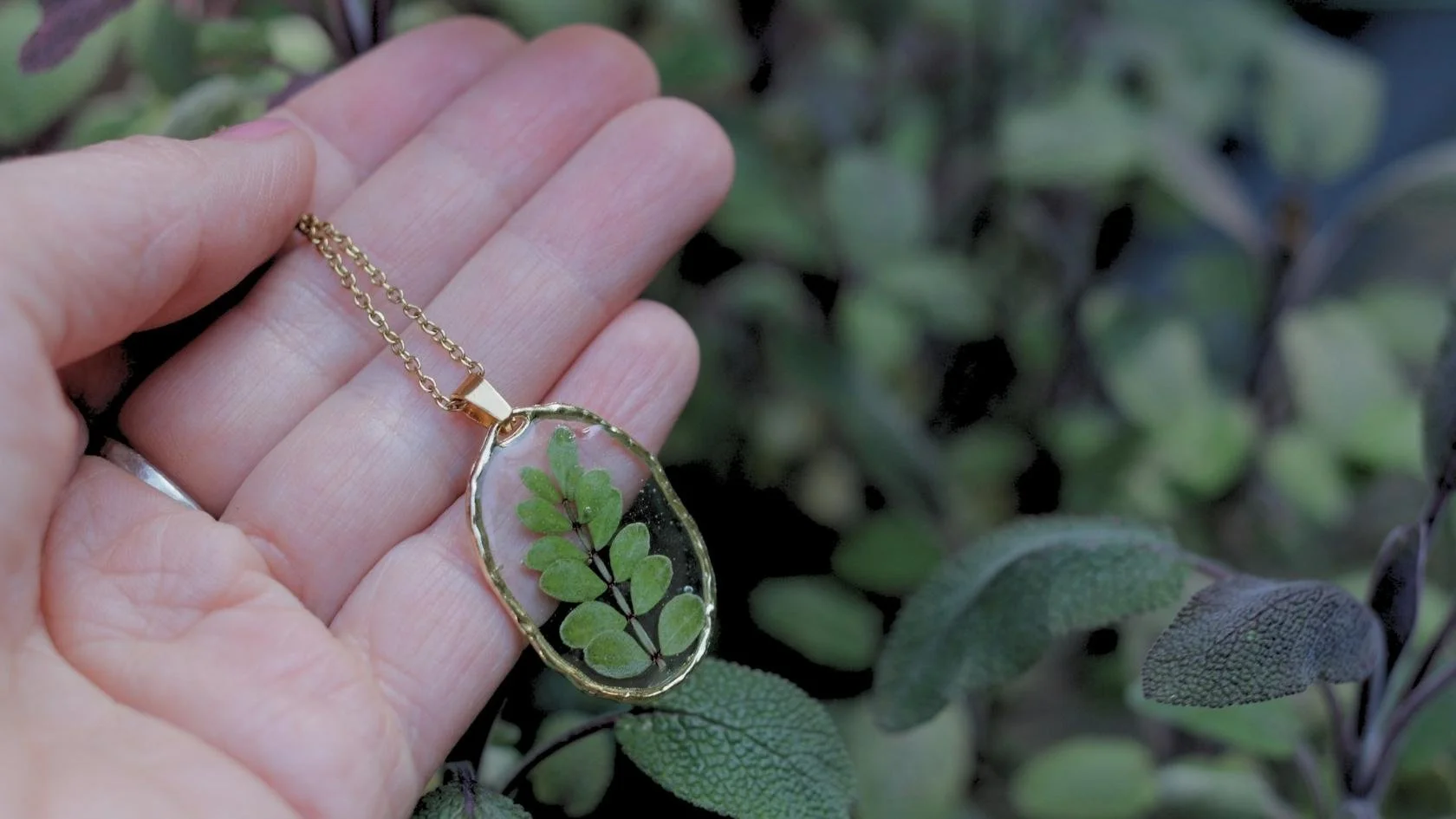 MW Woodland Calm (10).jpg