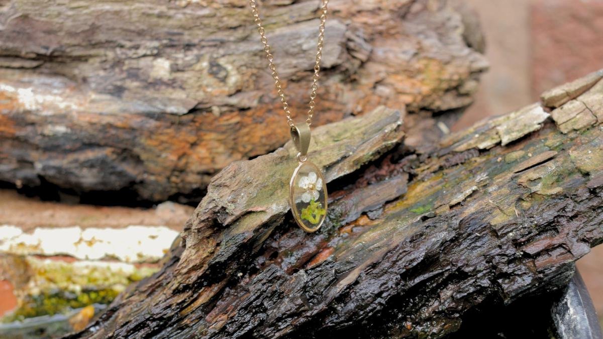 MW Woodland Calm (3).jpg