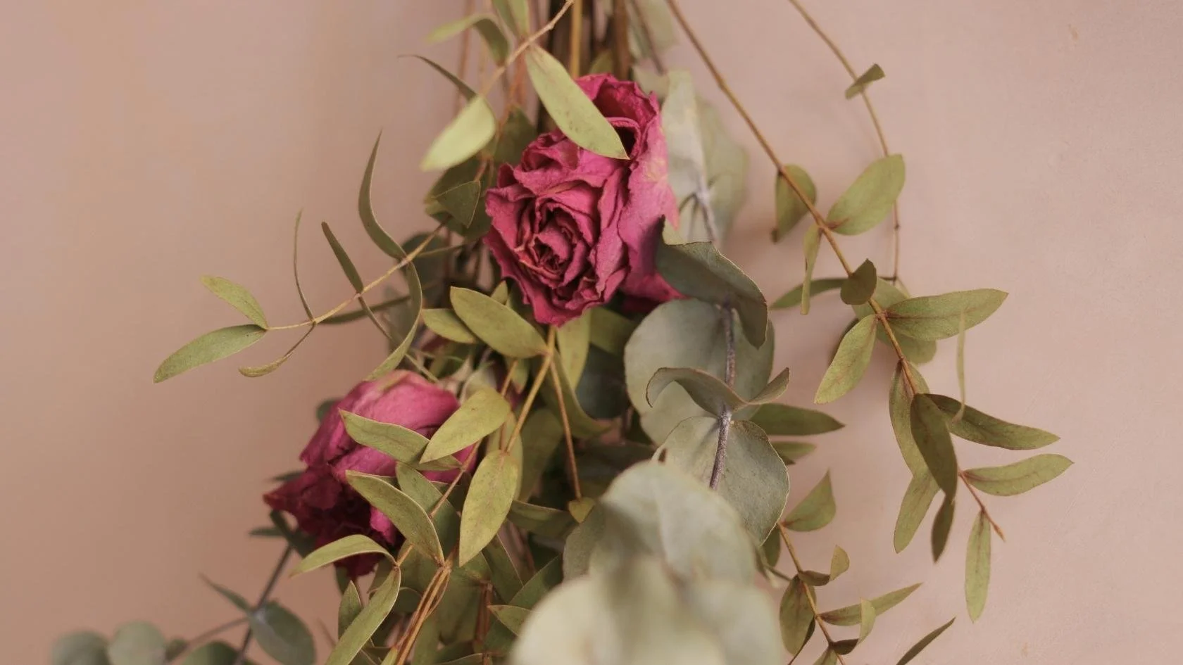 Dried pink roses with green eucalyptus leaves against a beige background.