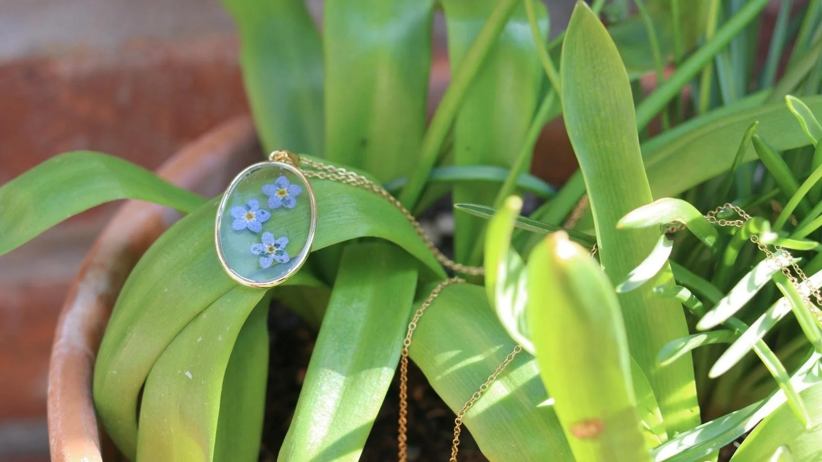 MW Wildflower Meadow (34).jpg