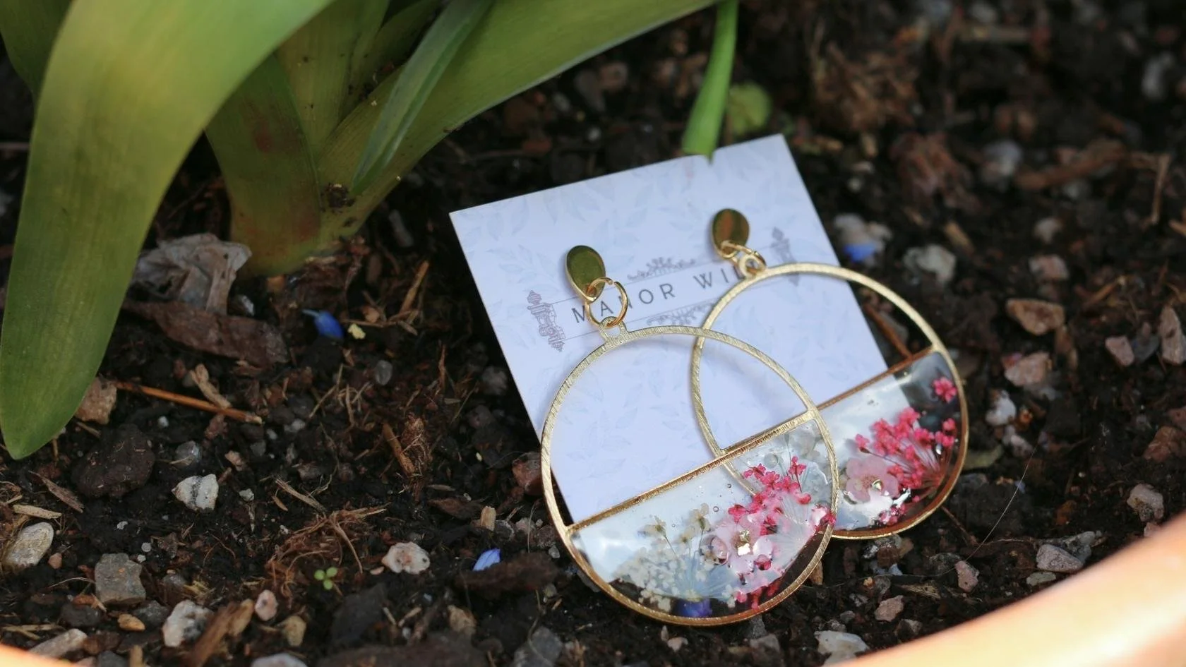 MW Wildflower Meadow (5).jpg