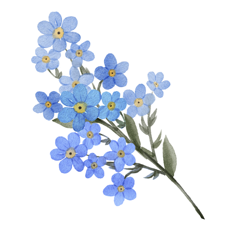 A bunch of light blue flowers with yellow centers on a single green stem with green leaves.