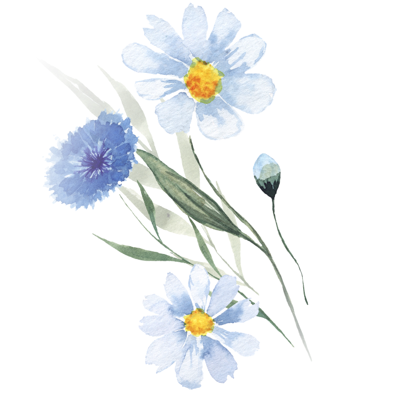 Watercolor painting of white daisies with yellow centers and a blue carnation, along with green leaves and buds.