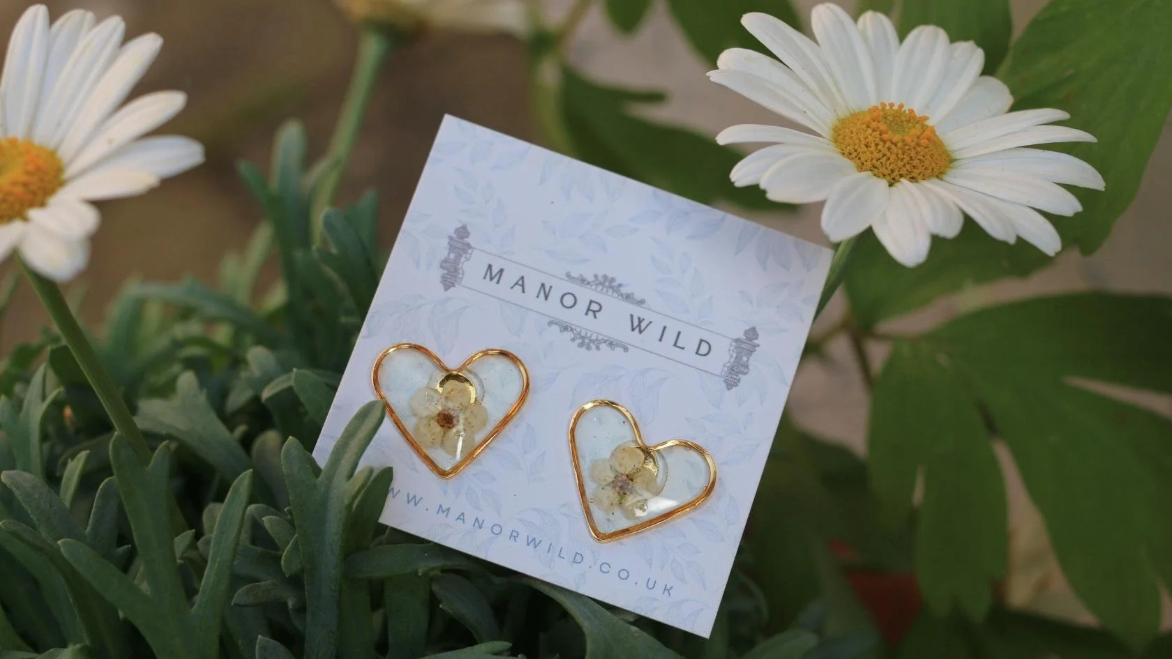 MW Wildflower Meadow (13).jpg