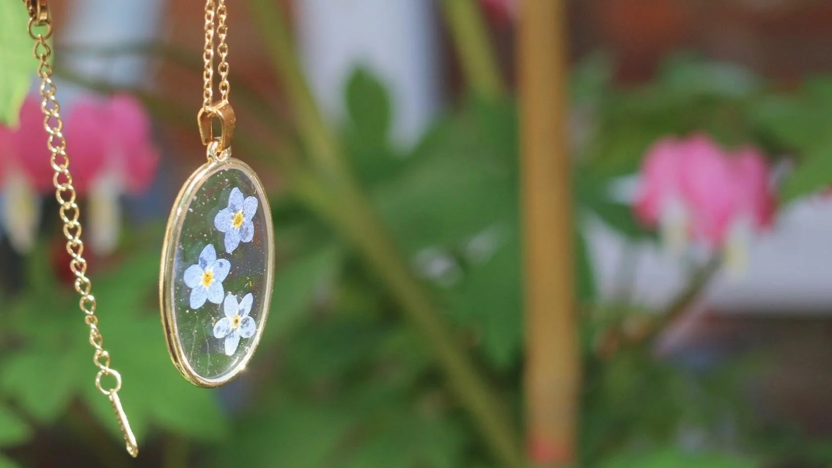 MW Wildflower Meadow (33).jpg