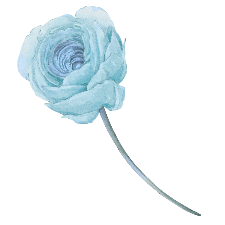 A watercolor-style illustration of a light blue rose with a long, slender stem.