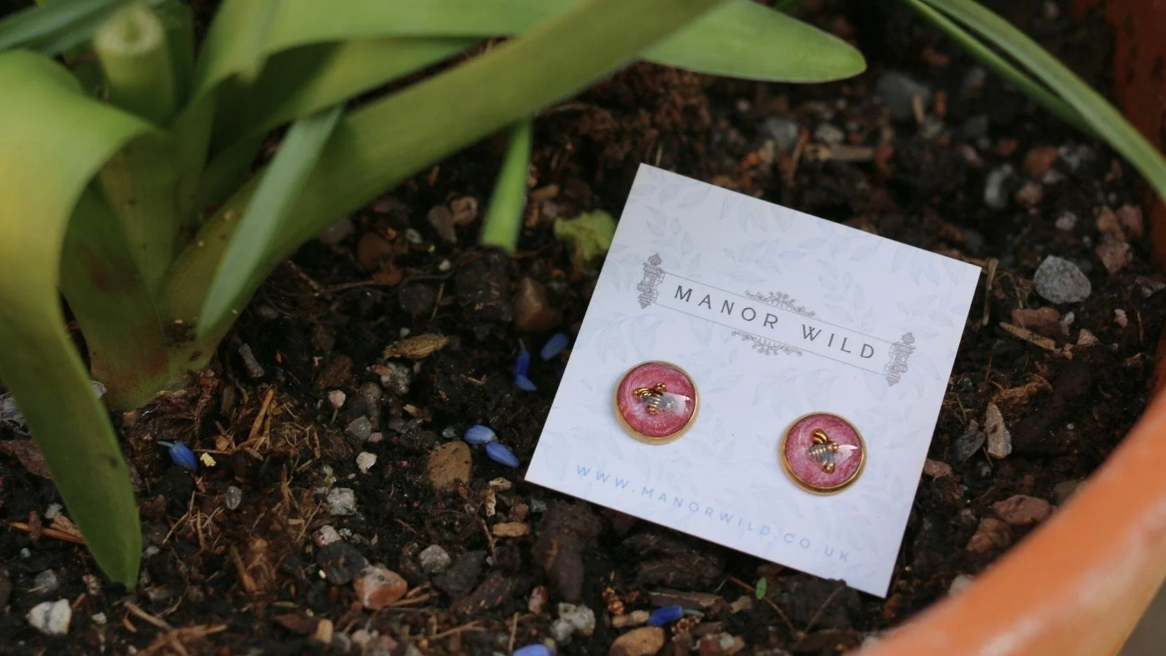 Pink round earrings with bee design on a white card, placed on soil near green plant leaves.