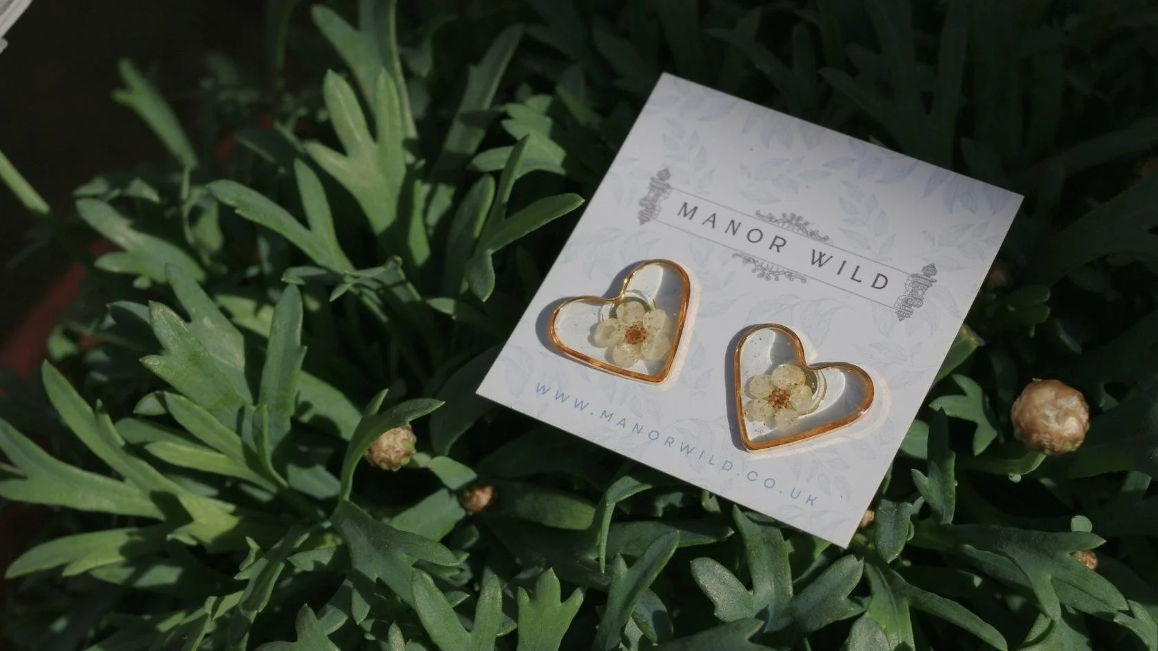 Heart-shaped earrings with embedded dried flowers on a card from Manor Wild, placed among green plants.