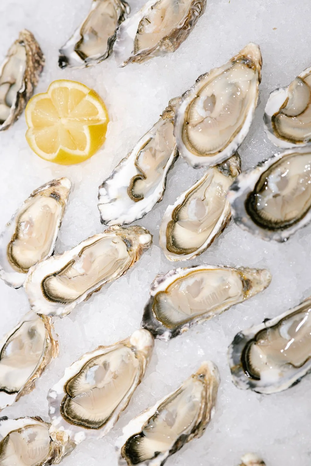 Fresh oysters on crushed ice with a lemon wedge