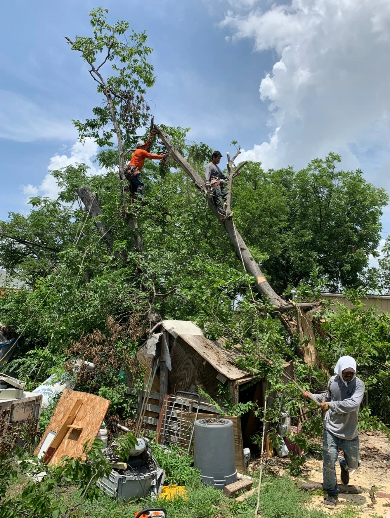 Storm Cleanup - 
Fast cleanup of fallen trees, broken limbs, and debris after storms to restore safety and protect your property.