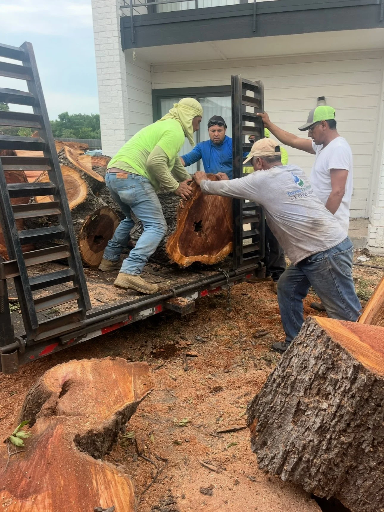 Tree Removal - 
Safe and professional removal of hazardous, dead, or unwanted trees. Our experienced crew protects your home, yard, and surrounding property.
