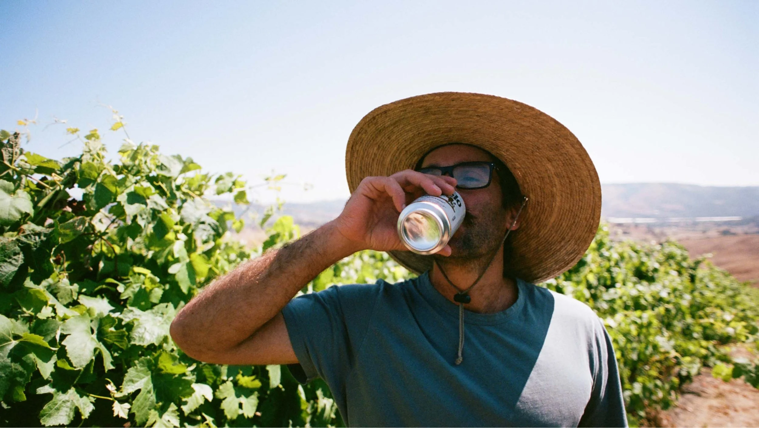 Man wearing a wide-brimmed straw hat and sunglasses drinking from a can in a vineyard.