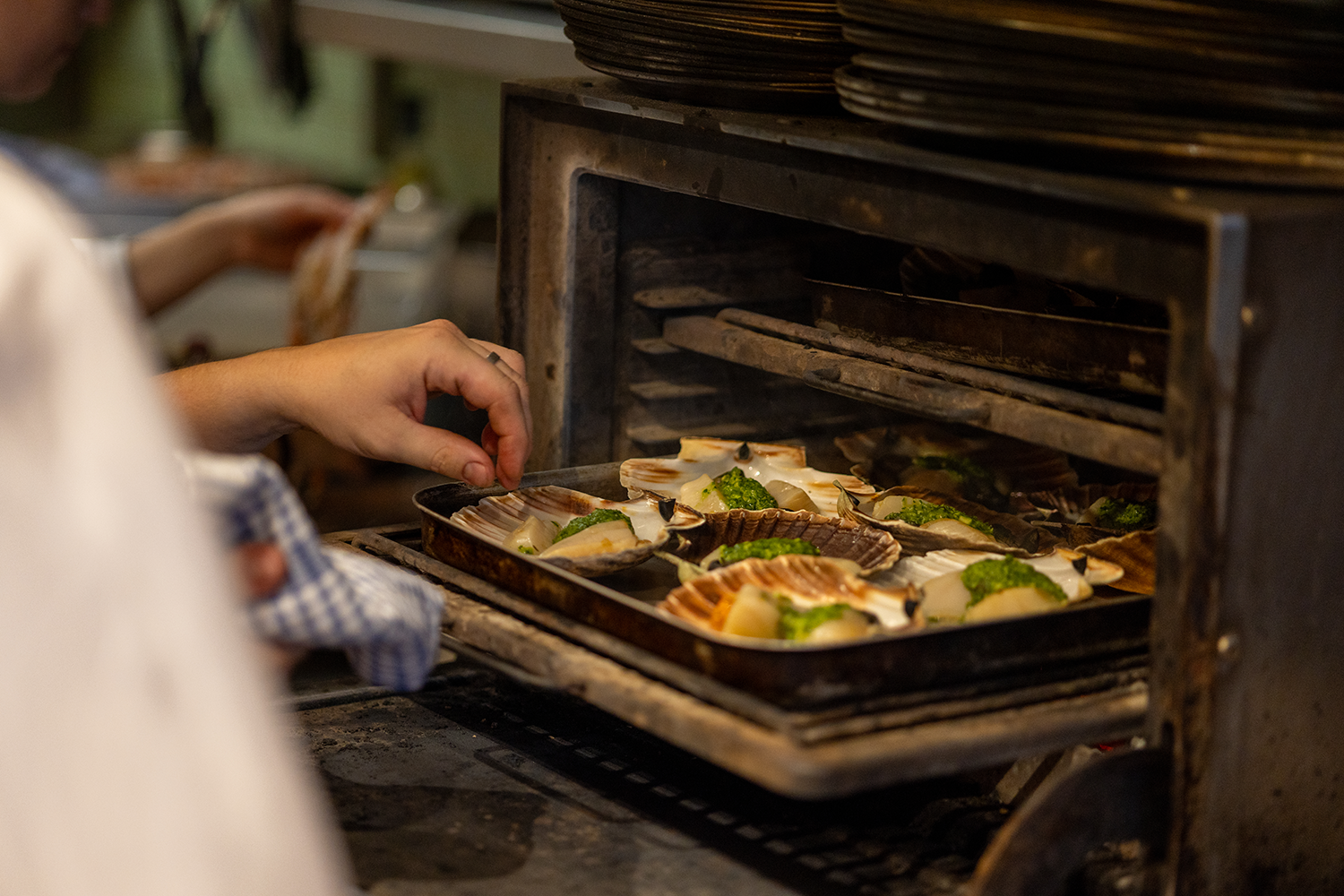 Person placing a tray of scallops topped with green herb butter into an oven, with stacks of plates on top.