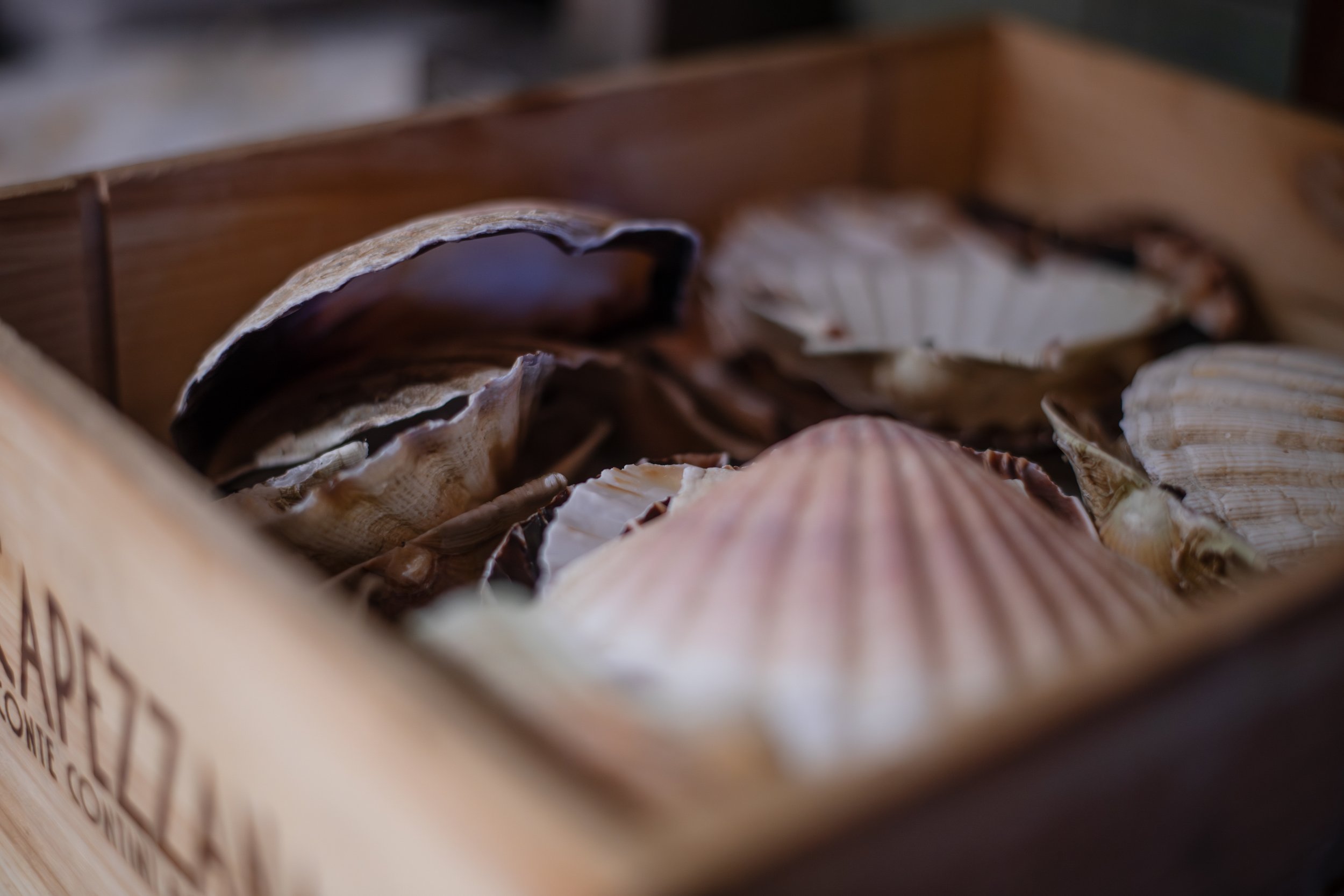 A wooden box filled with assorted seashells of various shapes, sizes, and colors.