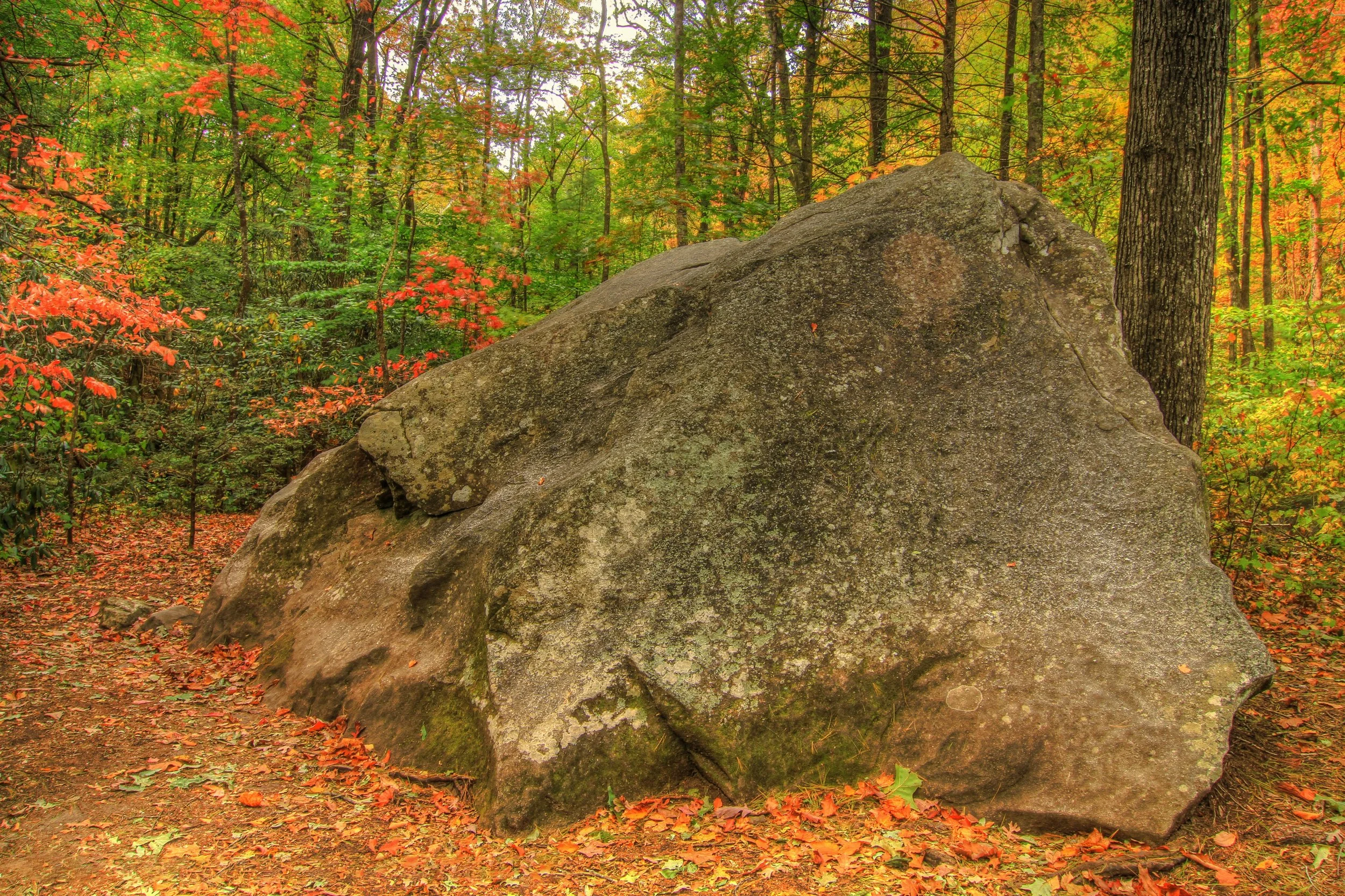 BIG Rock in Jones Gap State Park - HDR#2.jpg