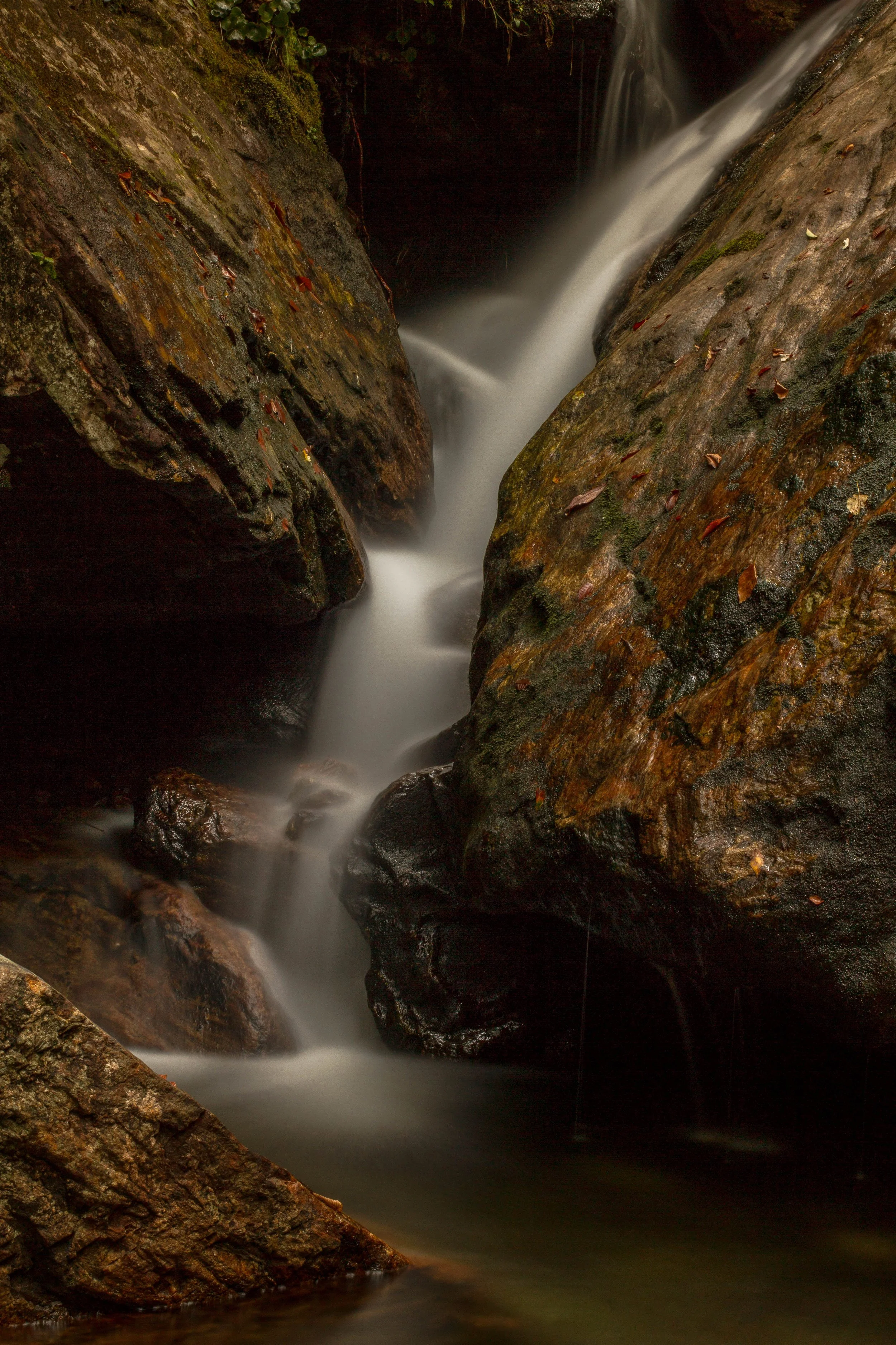 Skinny Dip Falls, Blue Ridge Parkway, Pisgah National Forest.jpg