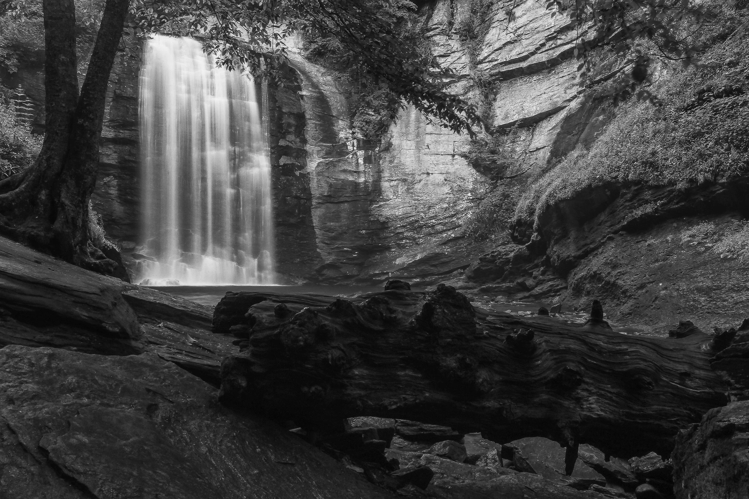Looking Glass Falls copy#2.jpg