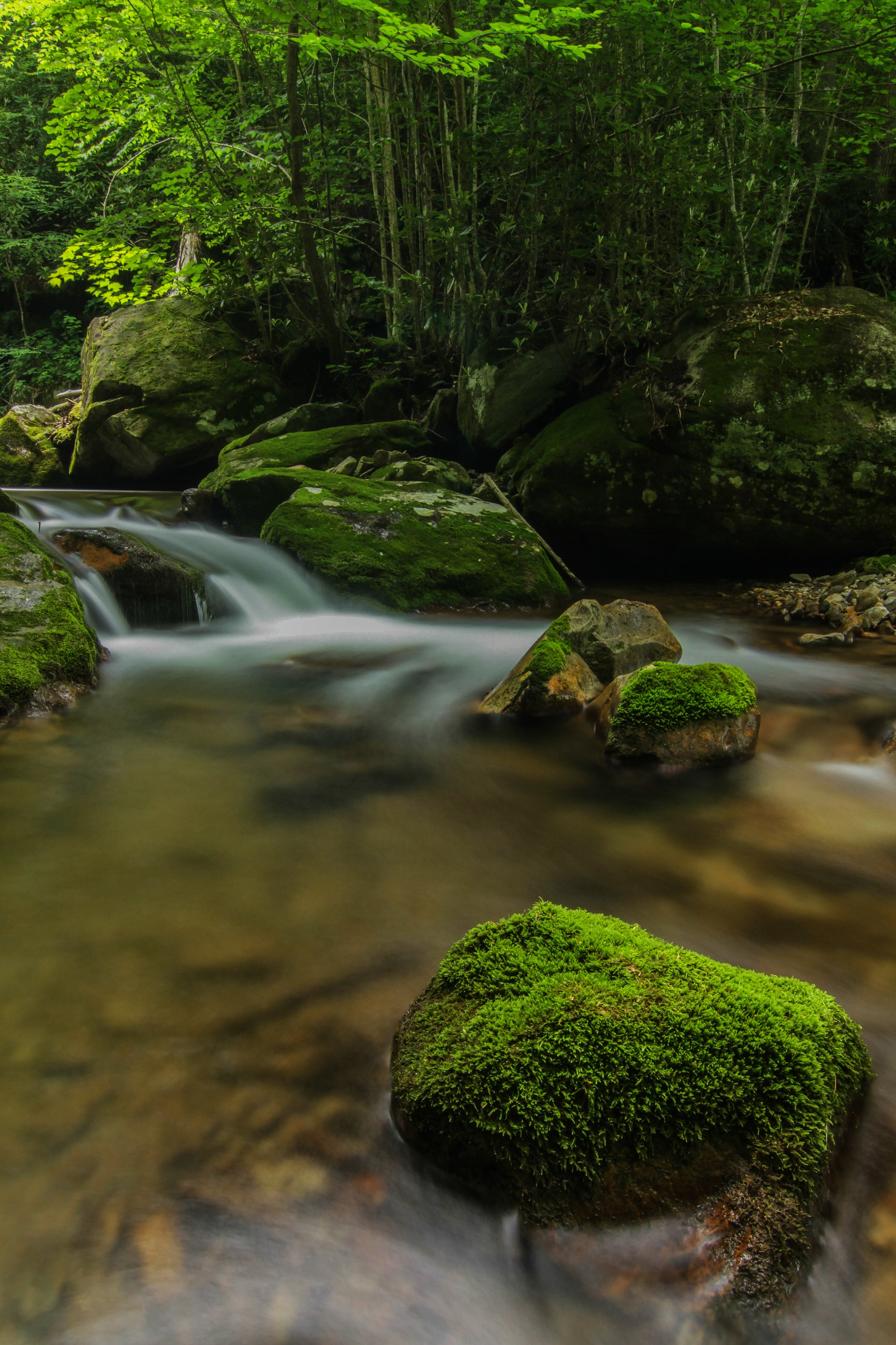 Rocky Fork copy#2.jpg