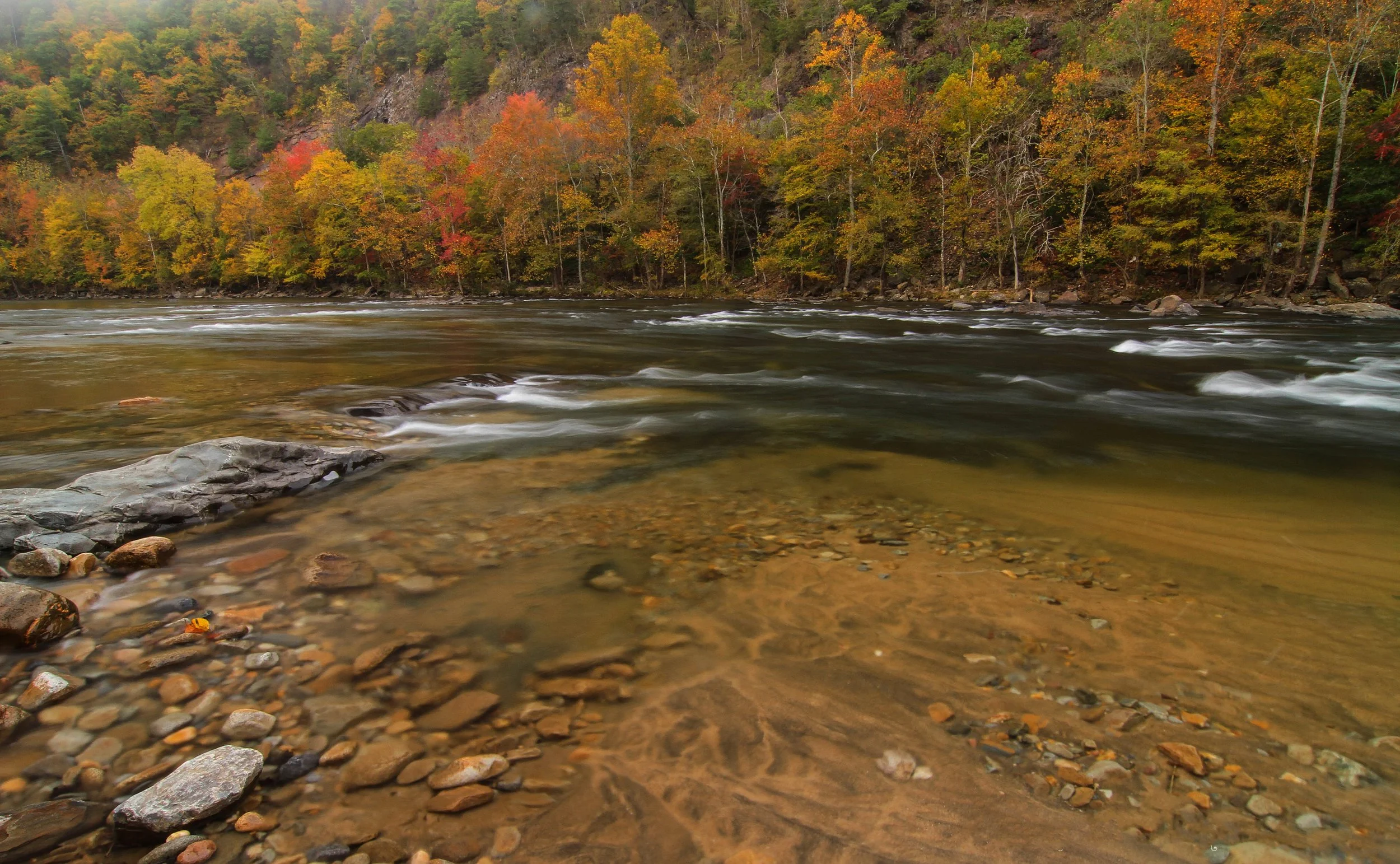 Chestoa - Nolichuky River.jpg