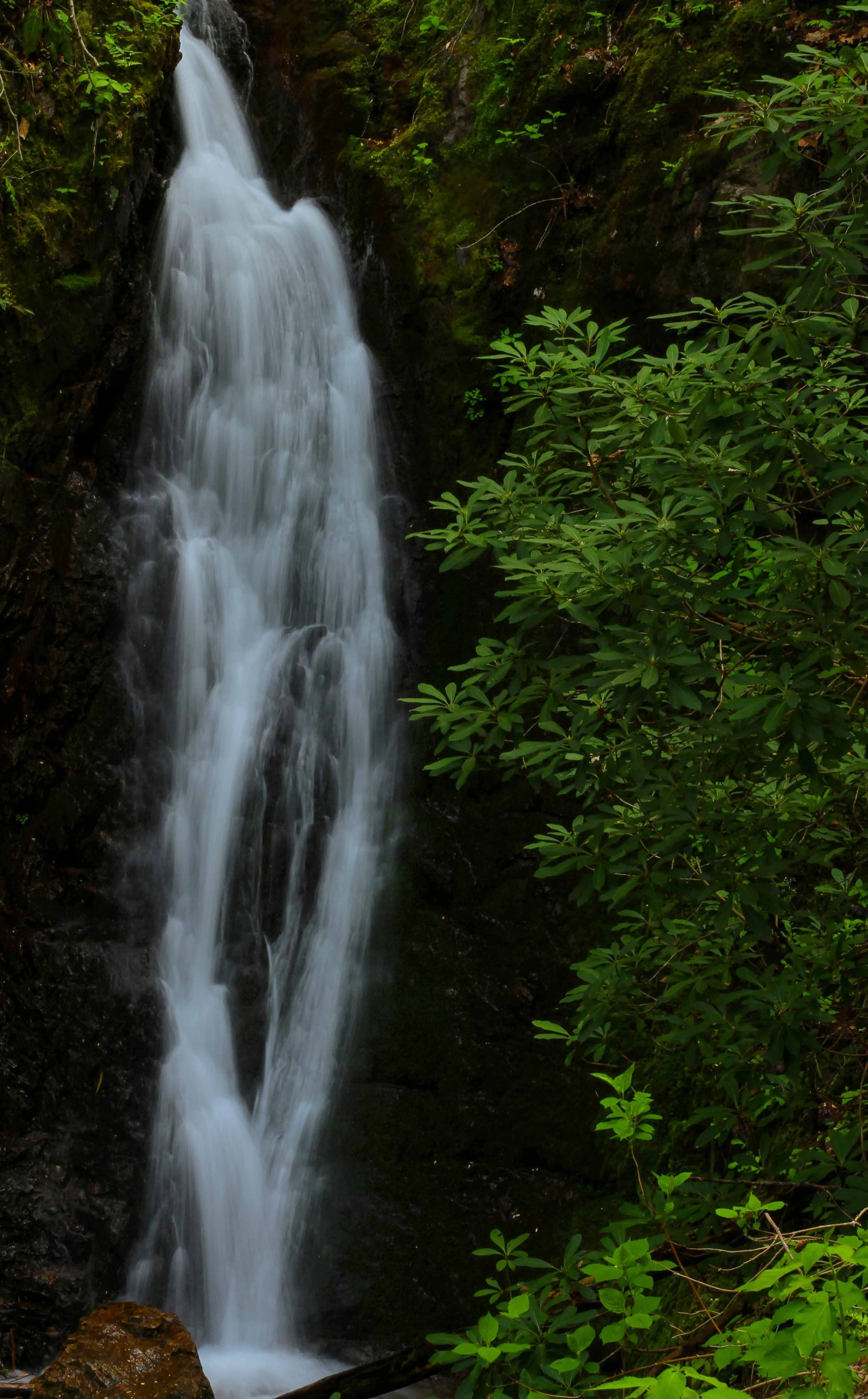 Backbone Falls copy.jpg