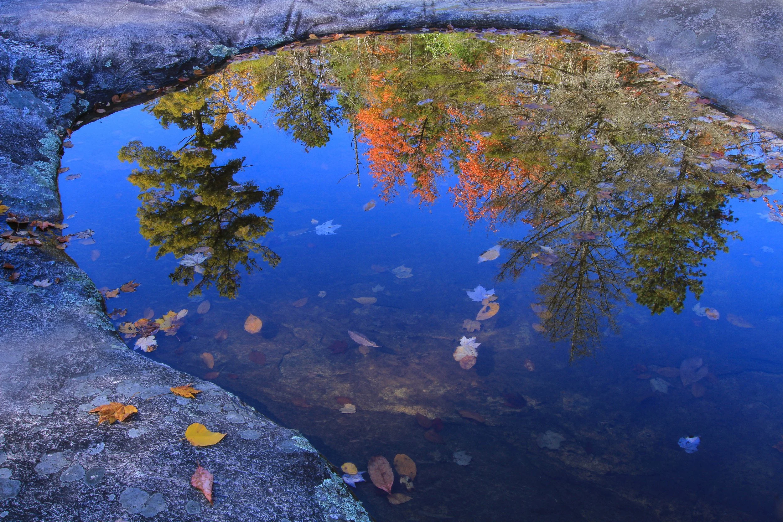 Pocket Reflection, Dupont State Park, North Caroline.jpg