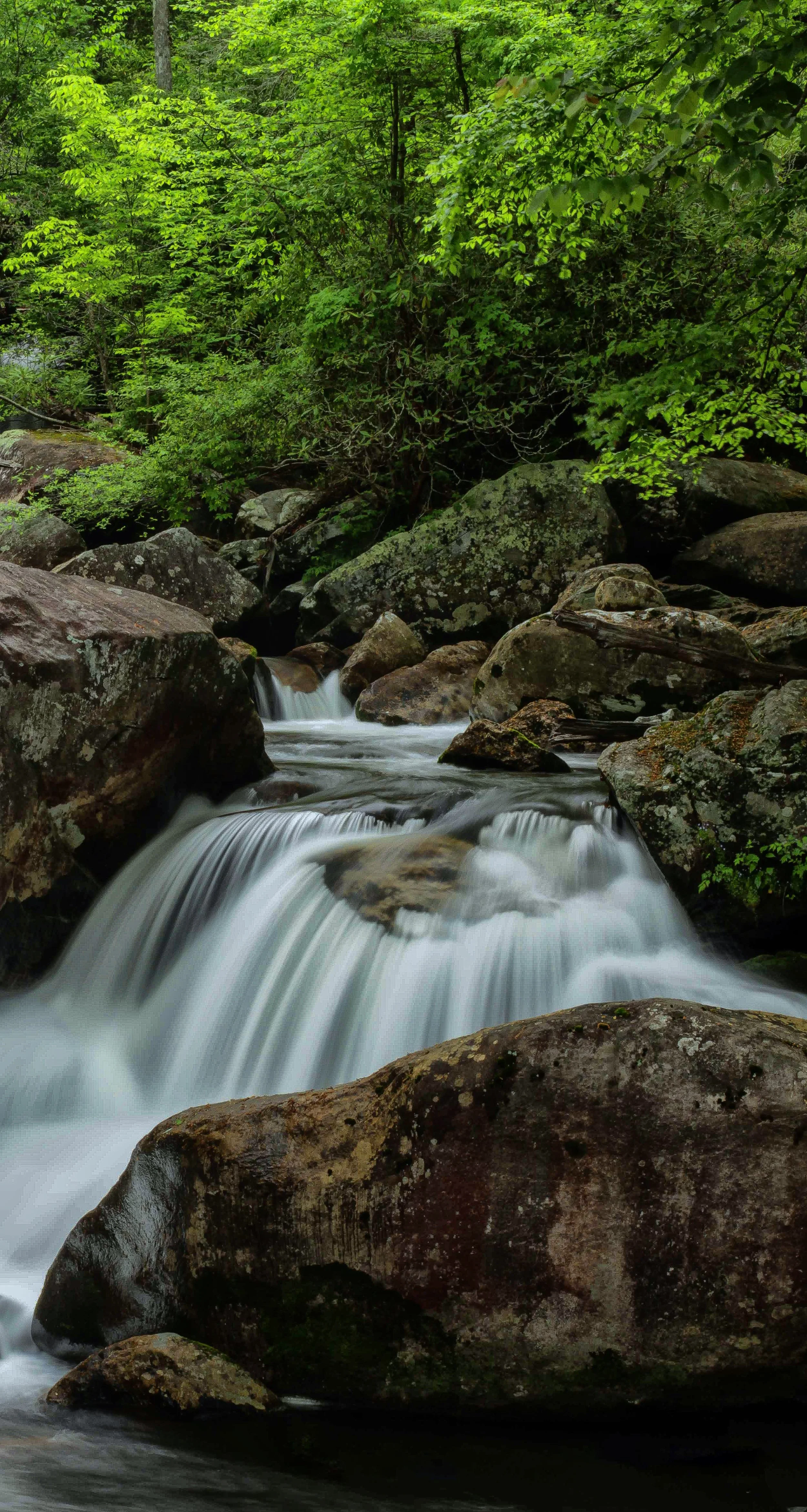 Horsepasture River @ Whitewater Falls copy-Recovered.jpg