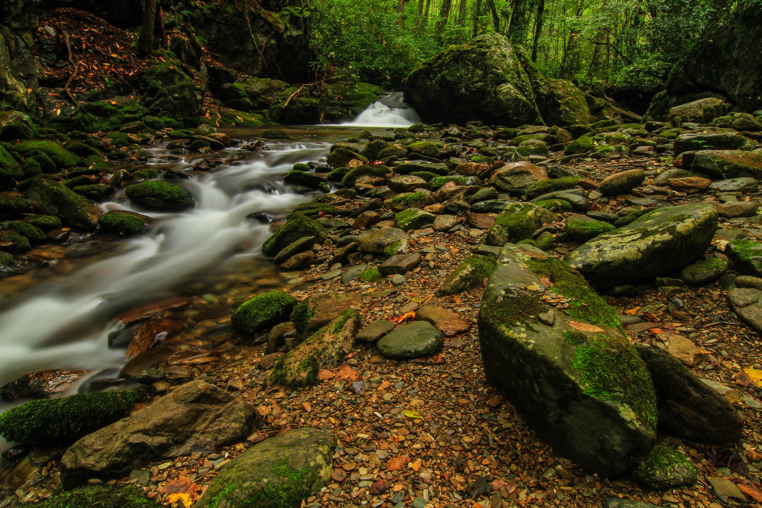 Rocky Fork State Park.jpg