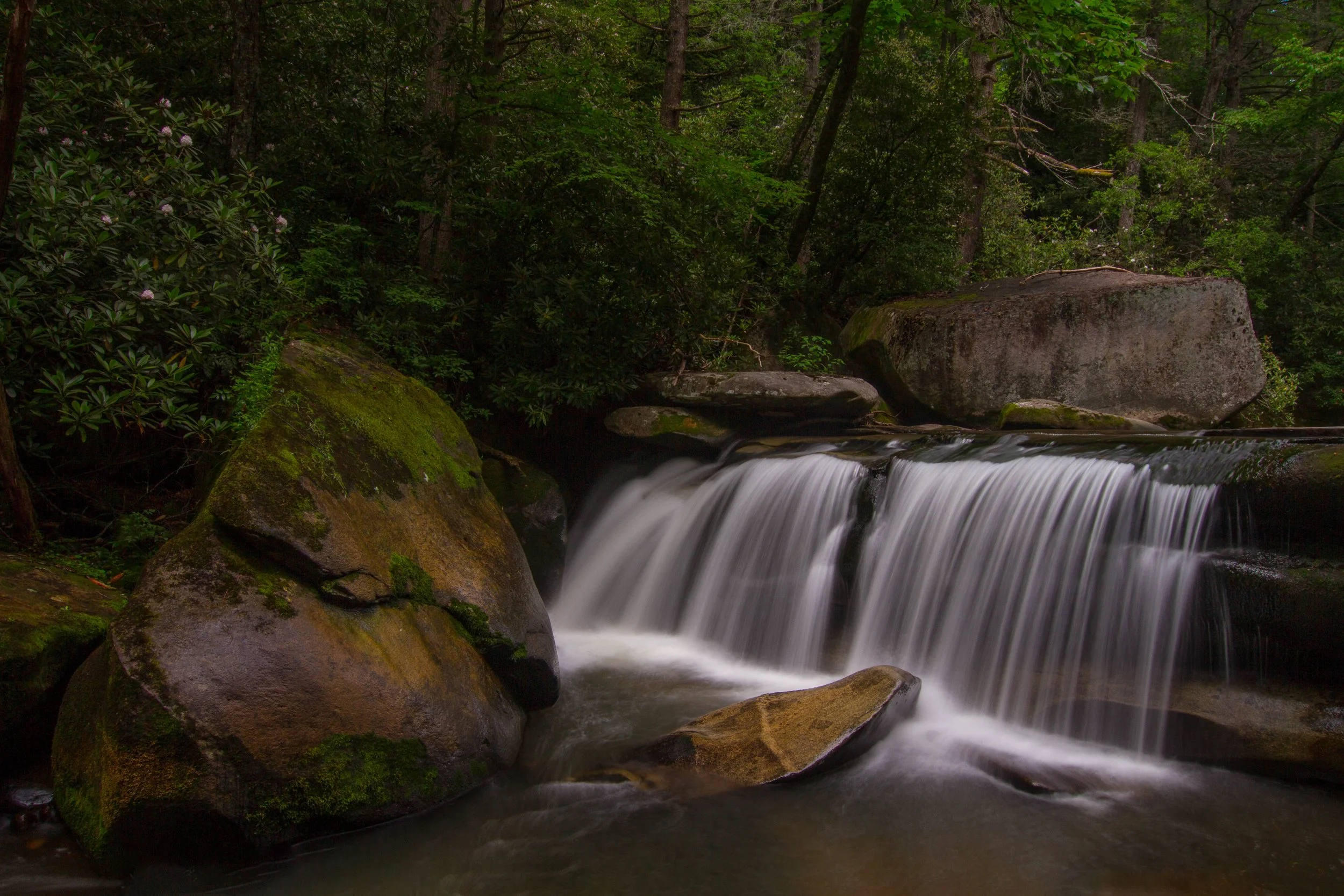 Small Waterfall, Nantahala National Forest, North Carolina.jpg