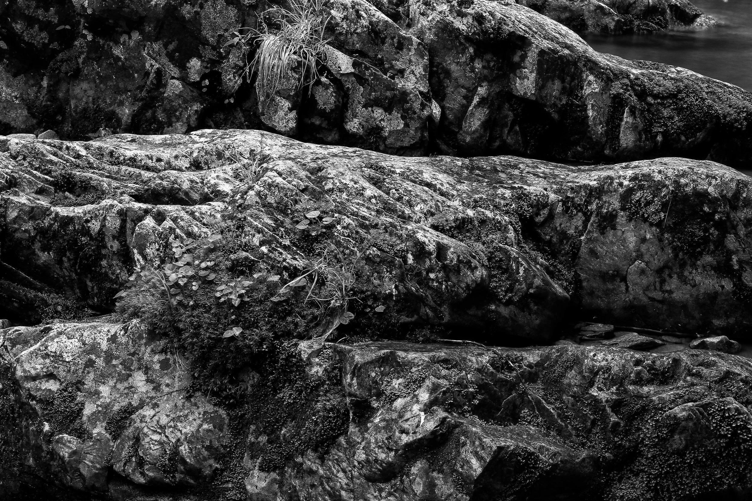 Rocks and moss copy#2.jpg