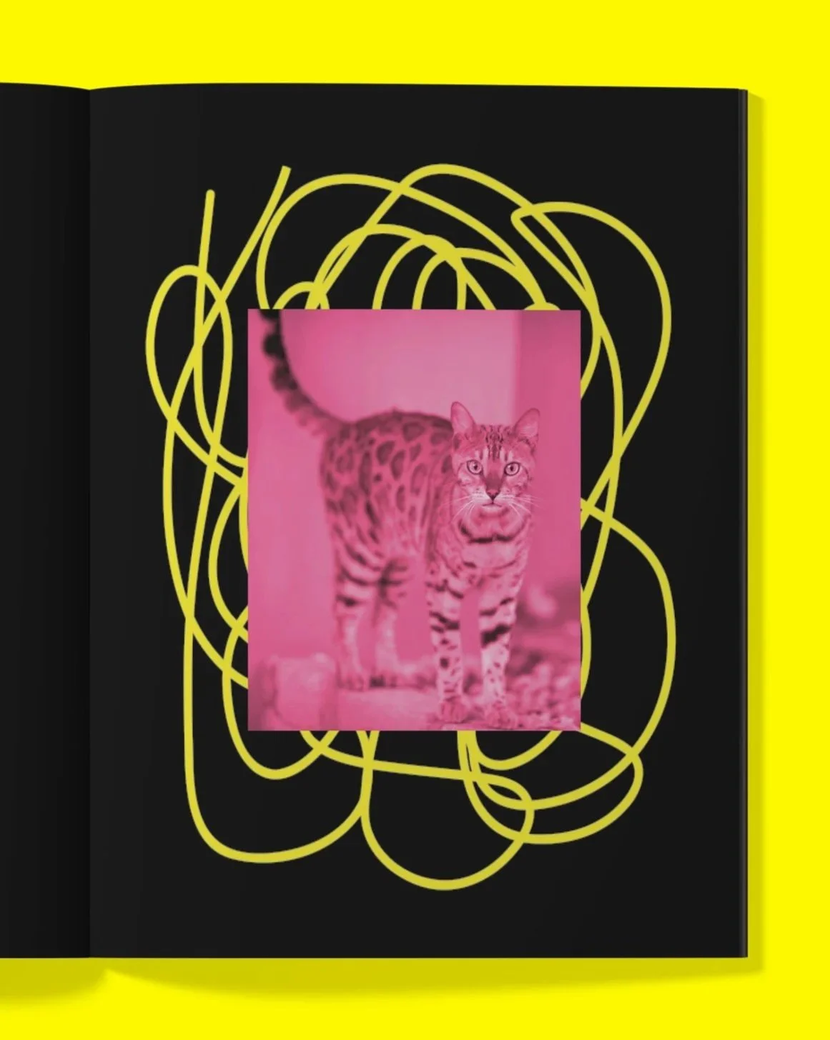 IHeartTabbyCats_6.jpg