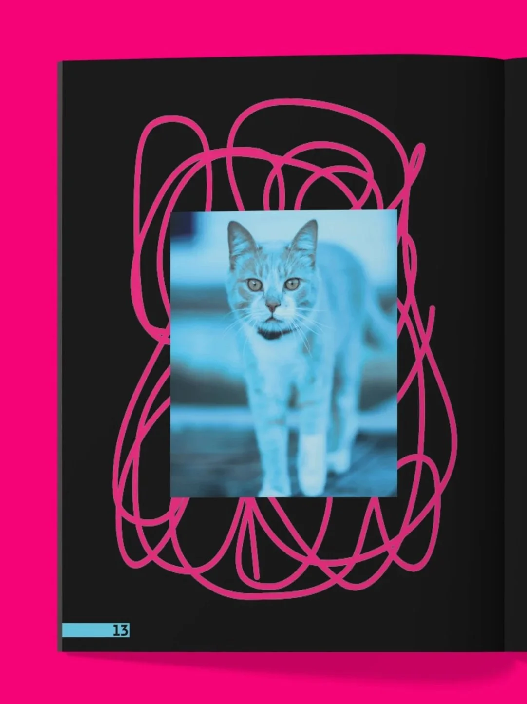 IHeartTabbyCats_8.jpg