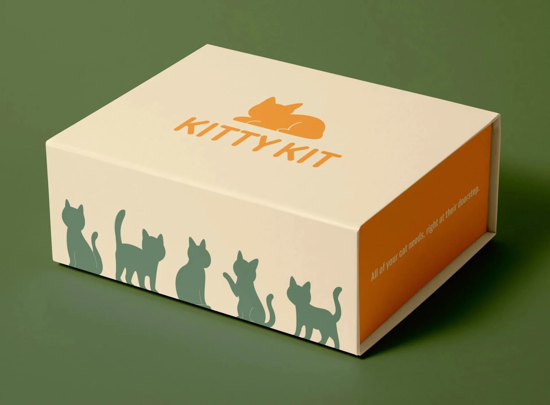 KittyKit_1.jpg