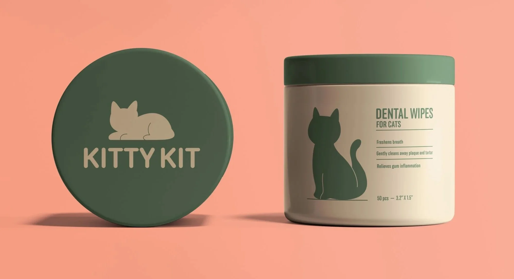 KittyKit_8.jpg