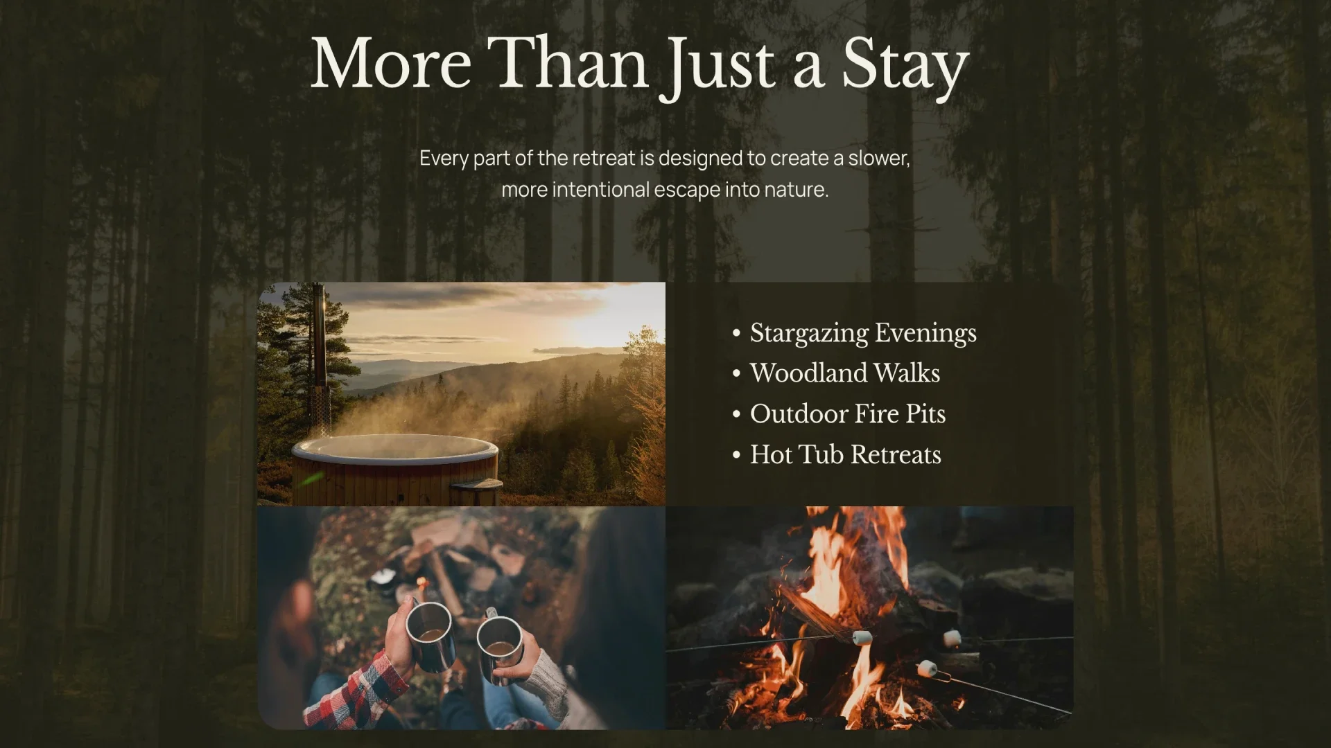 North Fern retreats homepage benefits design by Roamwild Studio