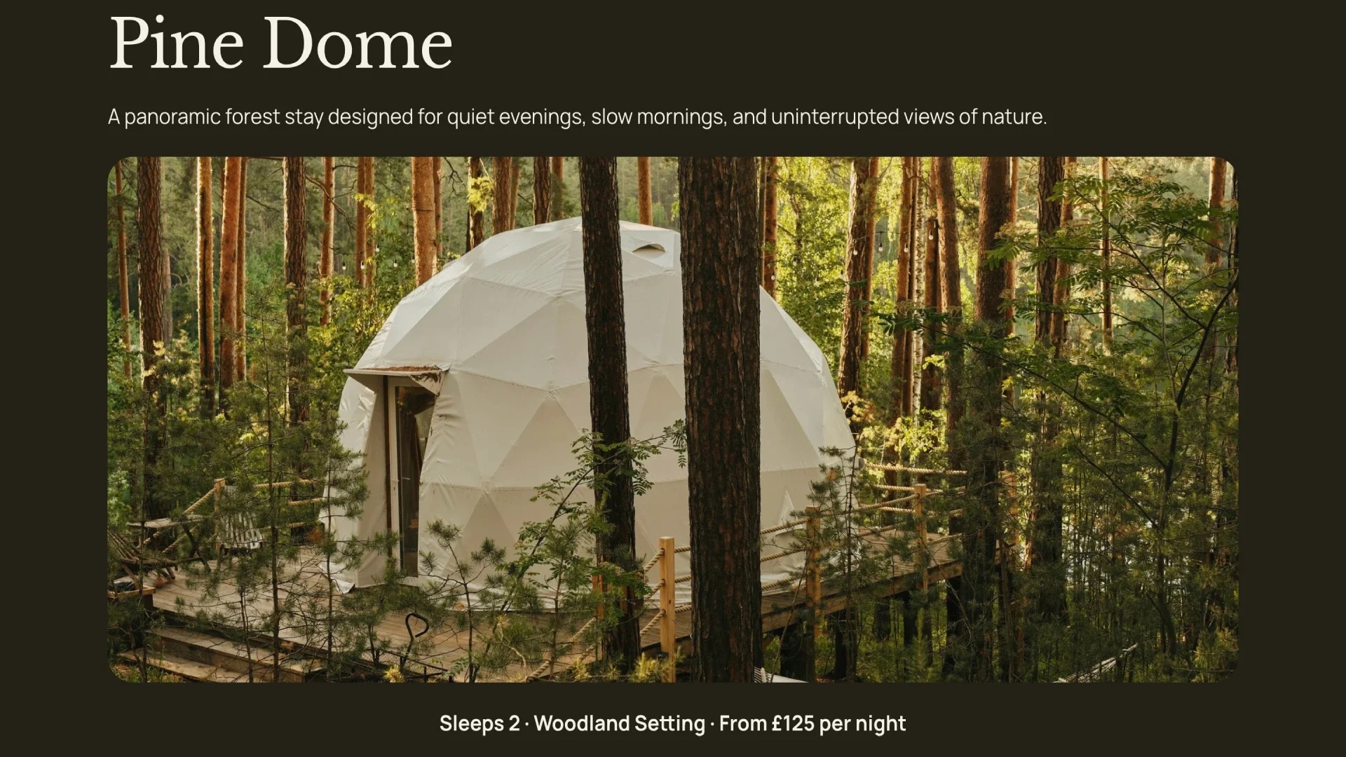 North Fern retreats accommodation page pine dome design by Roamwild Studio