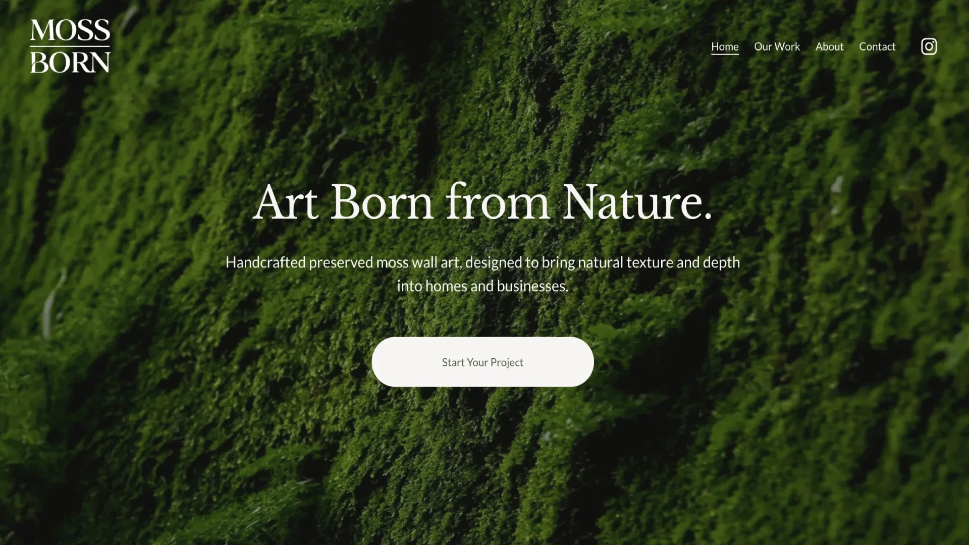Moss Born preserved moss art homepage design by Roamwild Studio