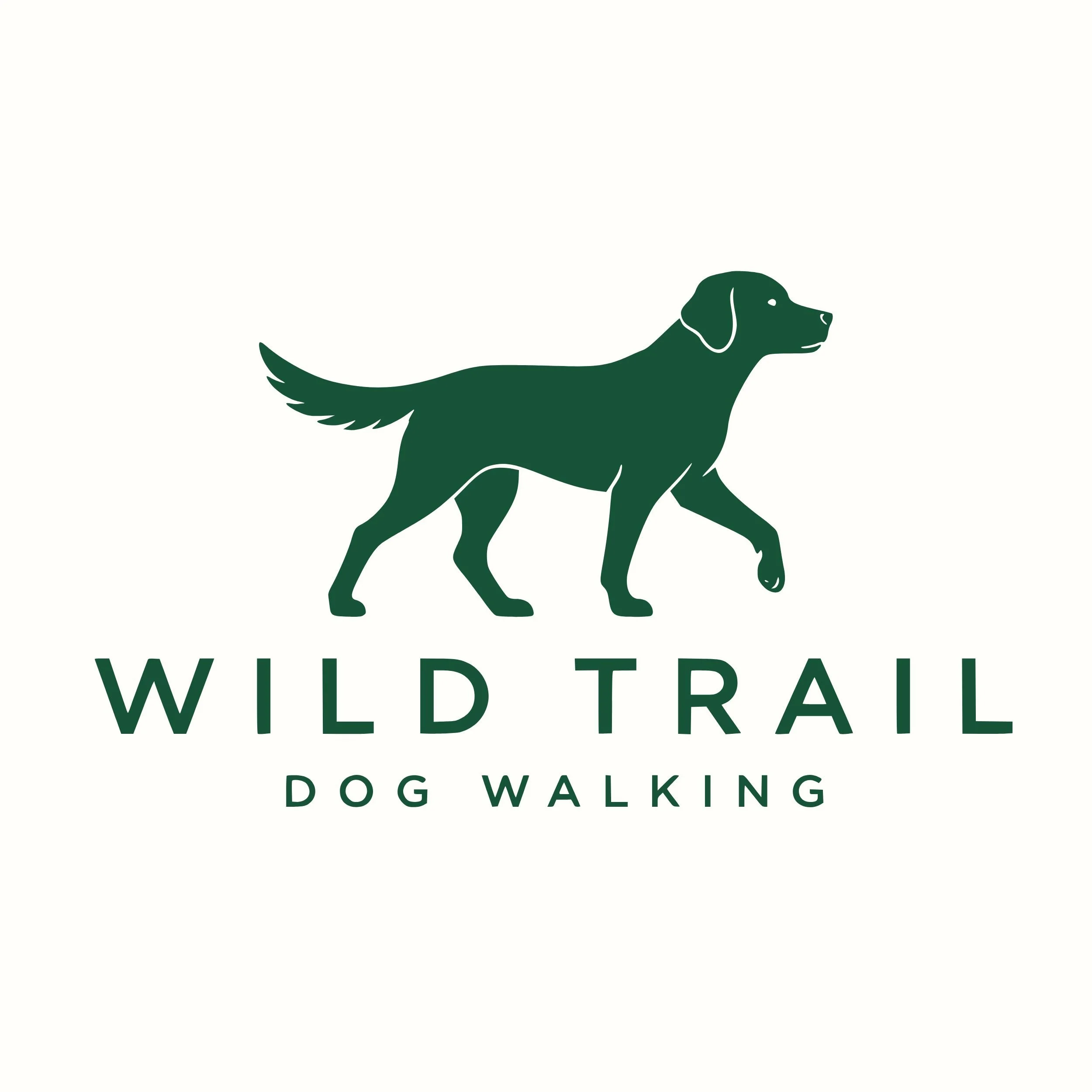 Wild Trail dog walking website concept by Roamwild Studio