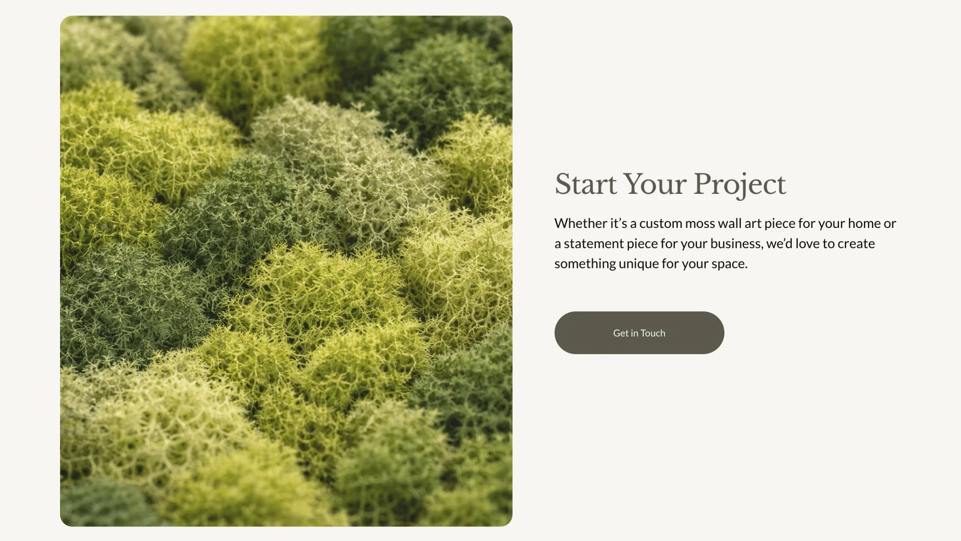 Moss Born preserved moss art homepage design by Roamwild Studio