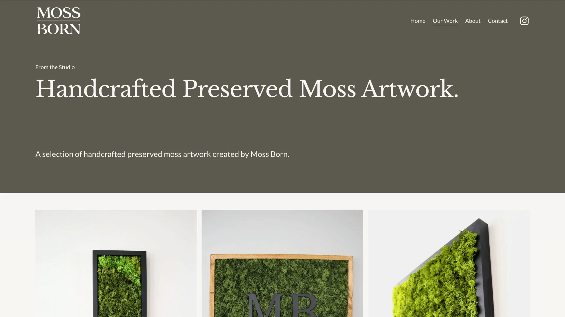 Moss Born preserved moss art gallery design by Roamwild Studio