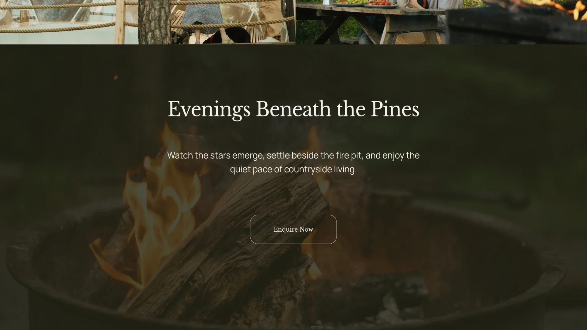 North Fern retreats accommodation page highlights design by Roamwild Studio