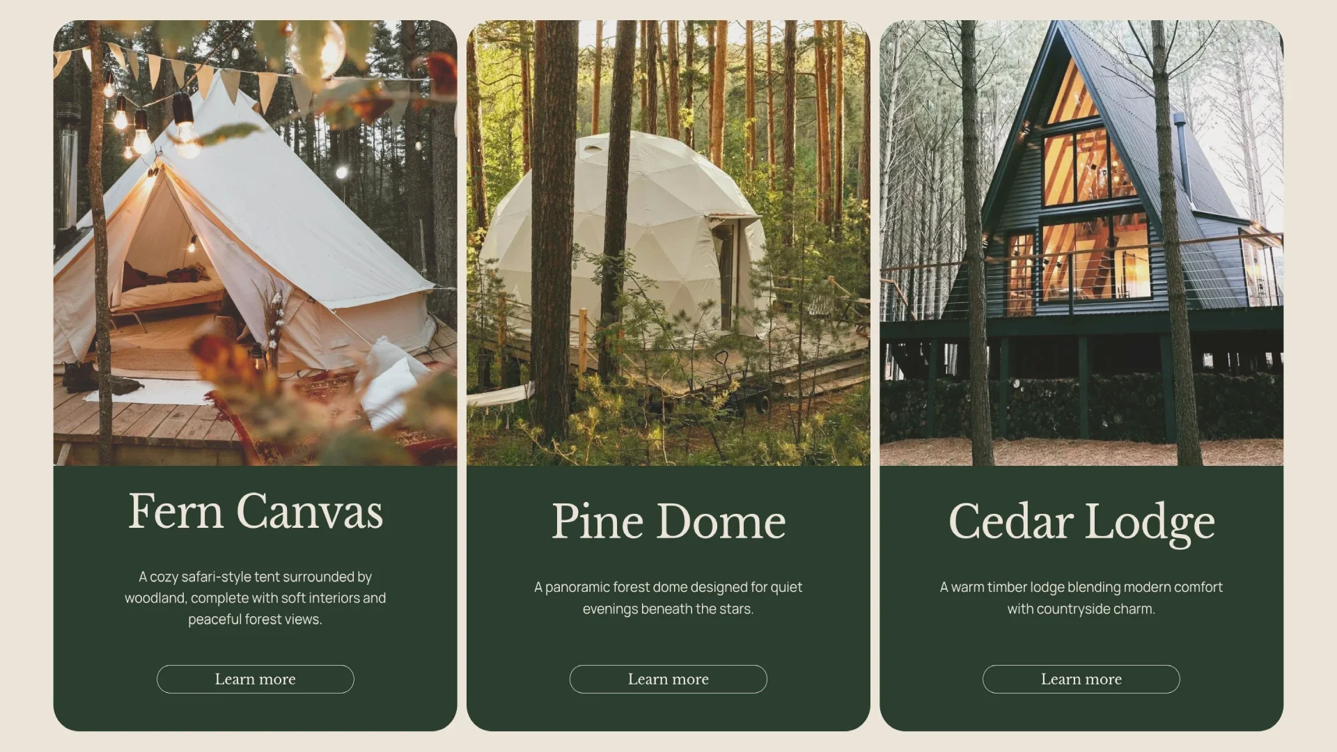 North Fern retreats homepage accommodation design by Roamwild Studio