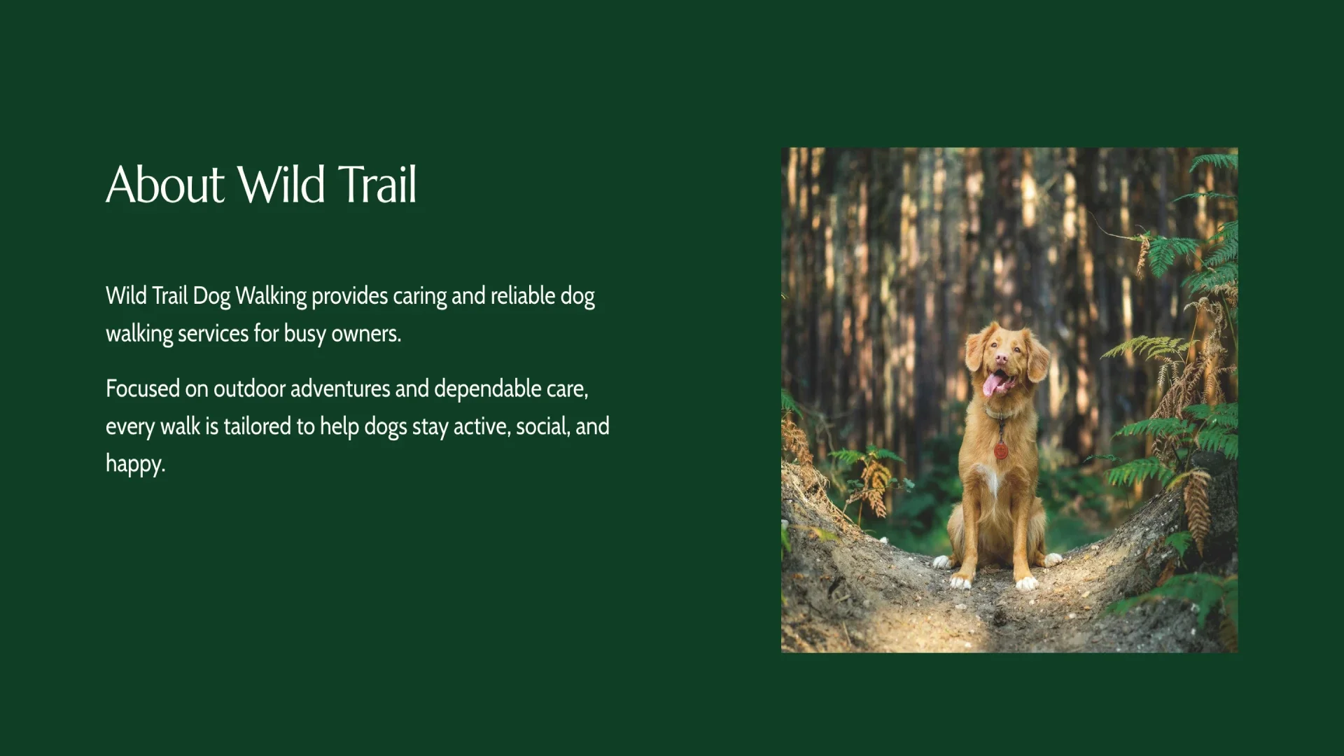 Happy Trail dog walking about page design by Roamwild Studio