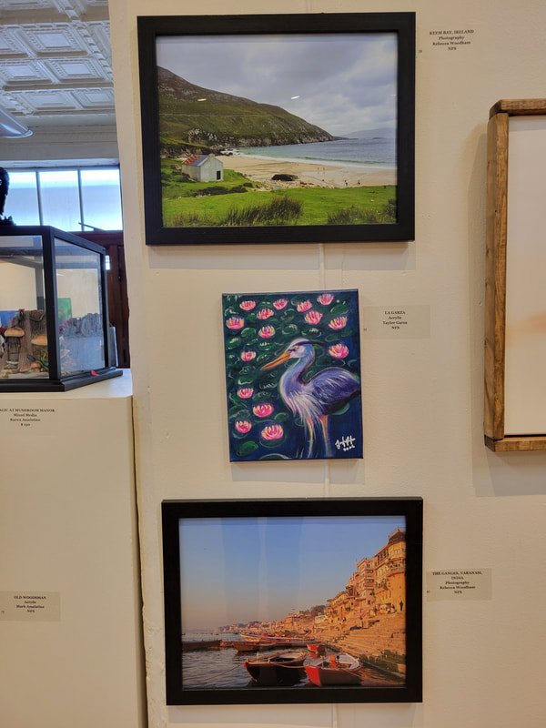 Three framed pieces of artwork on a gallery wall. The top one is a landscape photograph of a beach with a small house, grassy area, and hills in the background. The middle one is a colorful painting of a heron among pink water lilies. The bottom one 
