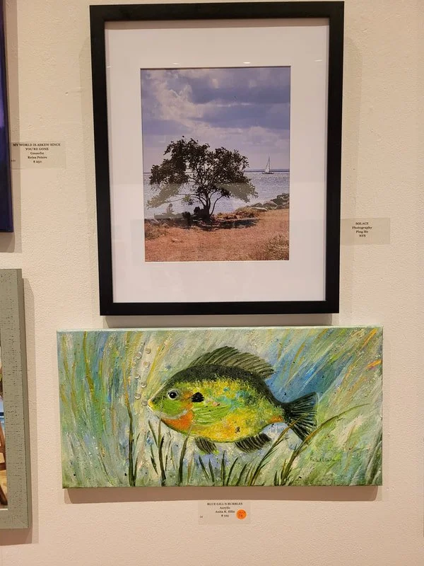 A framed landscape photograph of a tree near water with a sailboat in the distance, displayed on a gallery wall, and a colorful painting of a fish in green and yellow tones beneath it.