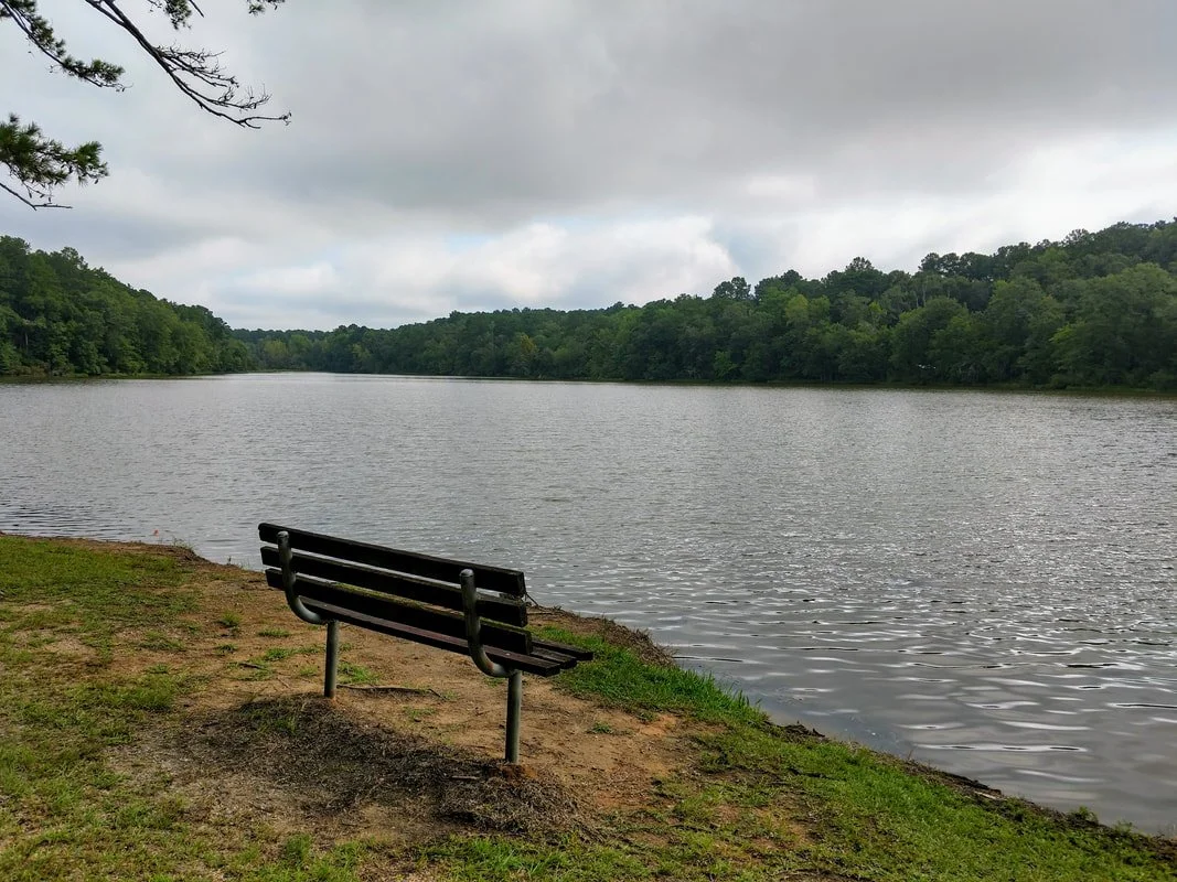 A lake with a grassy shoreline and a wooden bench facing the water, surrounded by green trees under a cloudy sky.