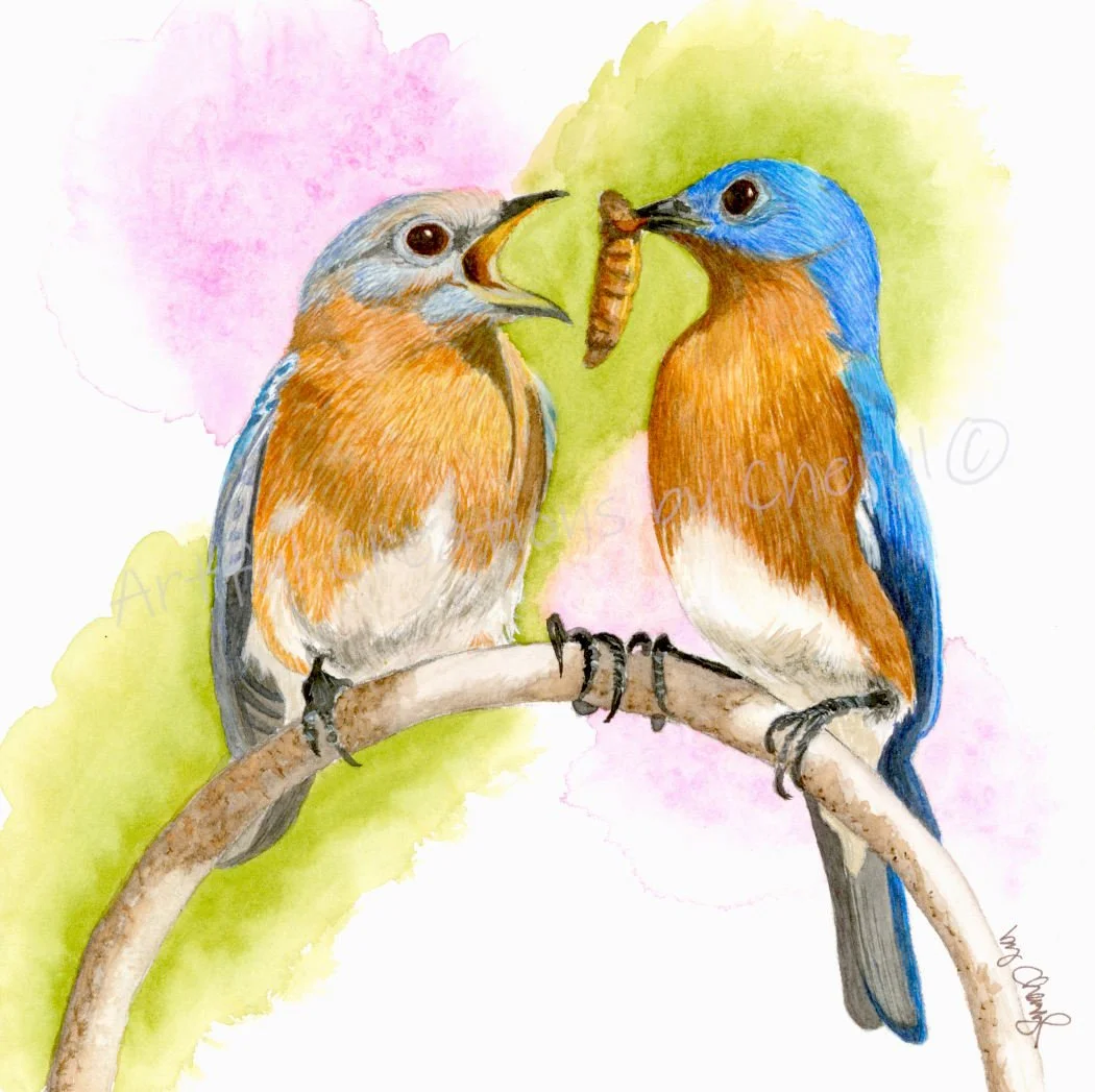 Watercolor painting of two colorful birds on a branch, with one bird handing a worm to the other.